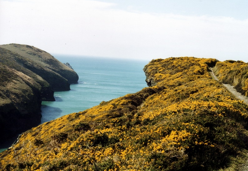 03 Vor Boscastle